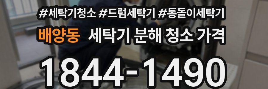 배양동 세탁기 분해 청소 가격