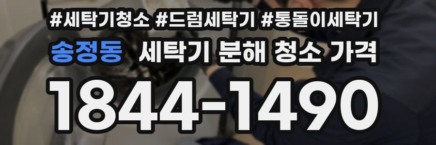 송정동 세탁기 분해 청소 가격