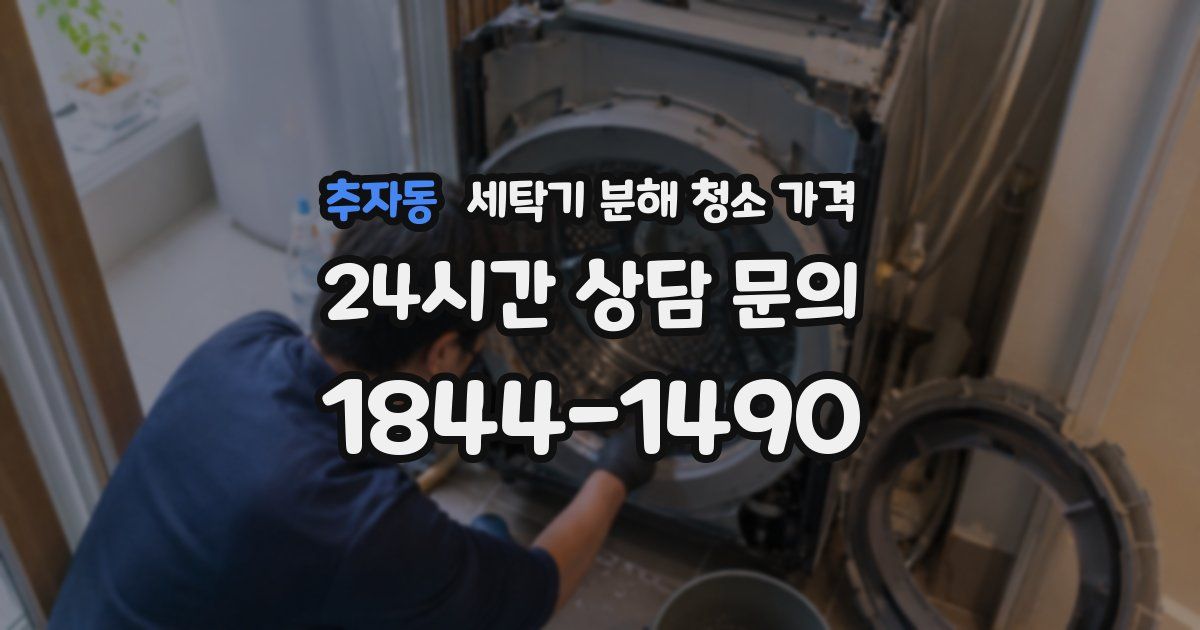추자동 세탁기 분해 청소 가격