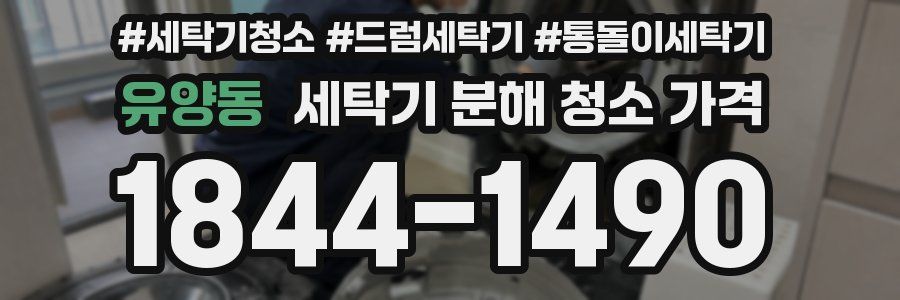 유양동 세탁기 분해 청소 가격