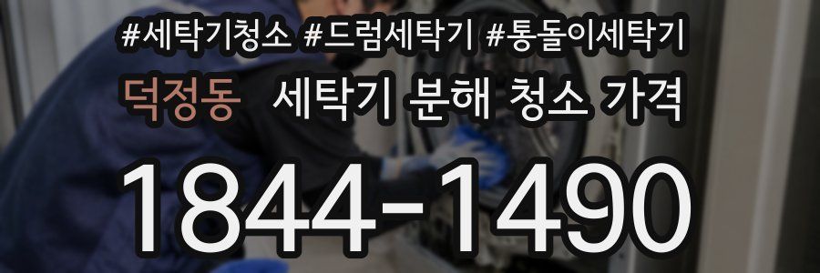 덕정동 세탁기 분해 청소 가격