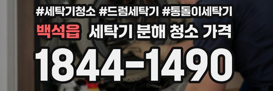백석읍 세탁기 분해 청소 가격