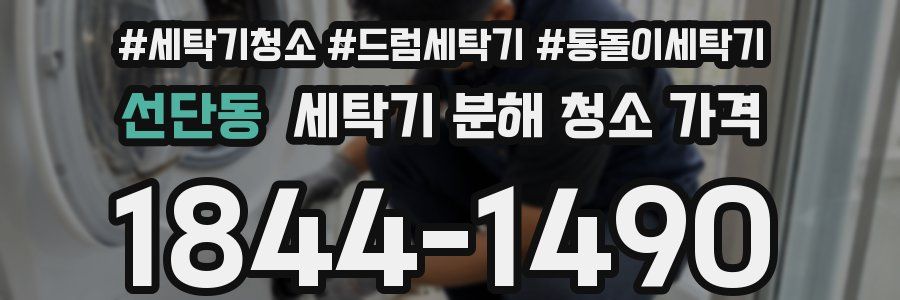 선단동 세탁기 분해 청소 가격