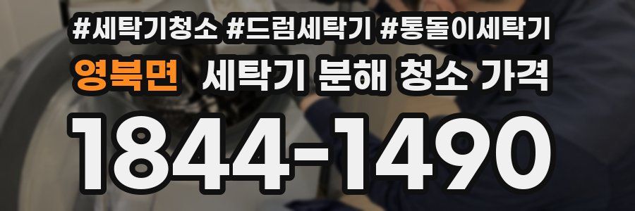 영북면 세탁기 분해 청소 가격