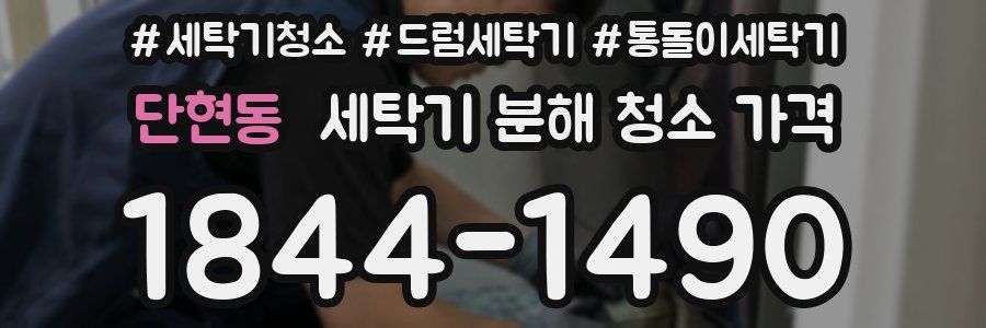 단현동 세탁기 분해 청소 가격