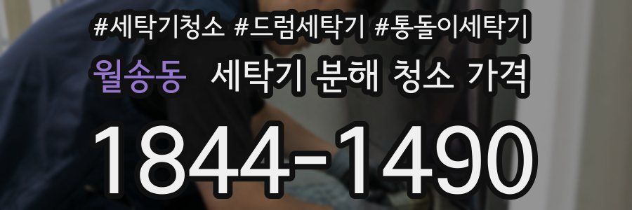 월송동 세탁기 분해 청소 가격