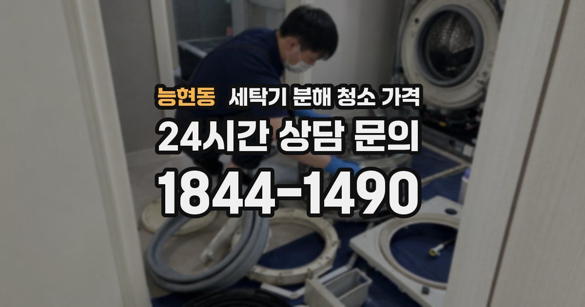 능현동 세탁기 분해 청소 가격
