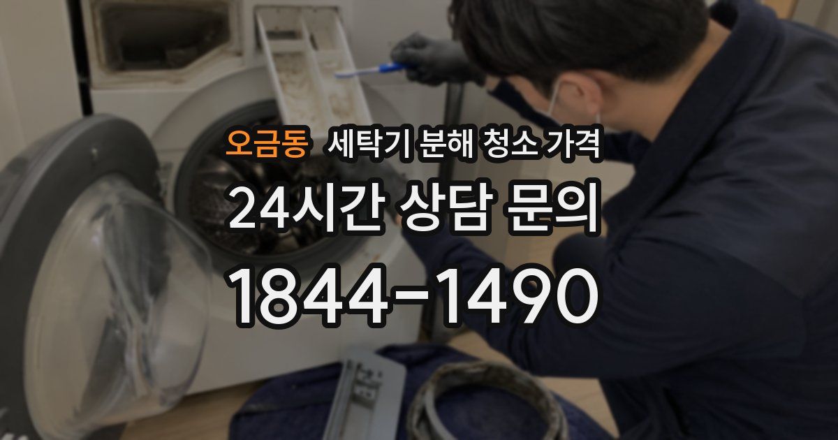 오금동 세탁기 분해 청소 가격