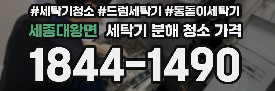세종대왕면 세탁기 분해 청소 가격