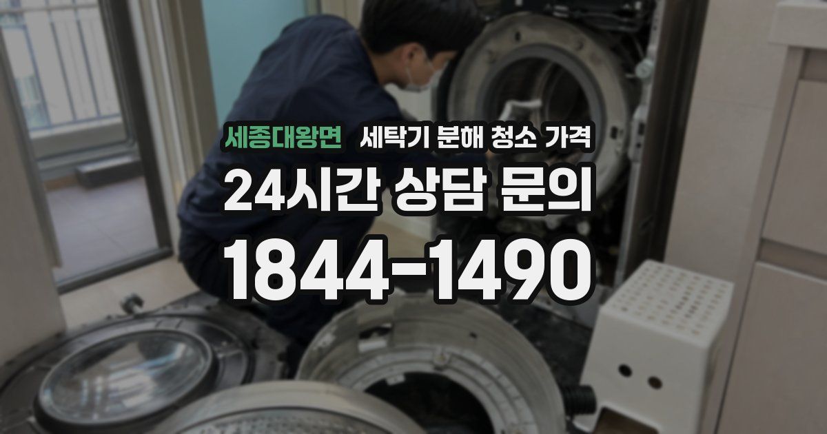 세종대왕면 세탁기 분해 청소 가격