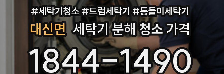 대신면 세탁기 분해 청소 가격