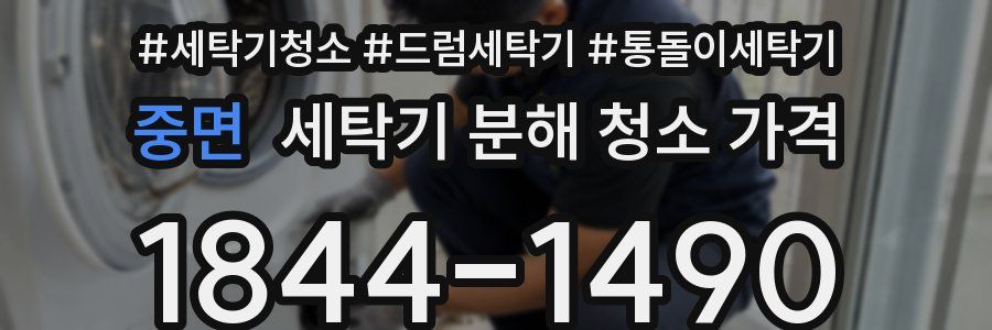 중면 세탁기 분해 청소 가격
