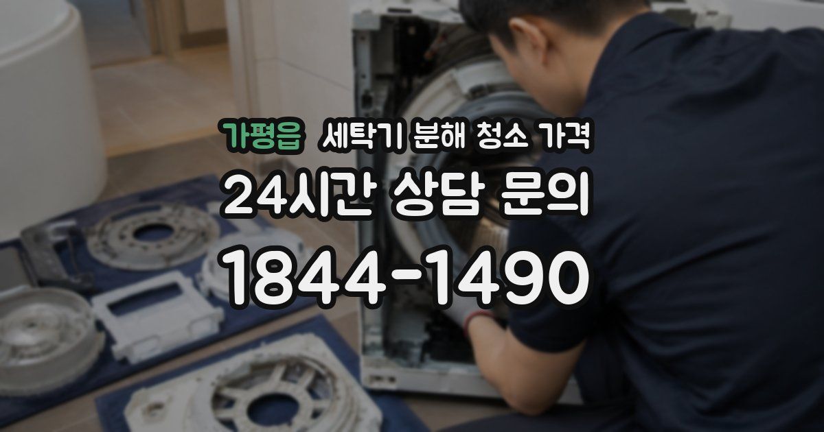 가평읍 세탁기 분해 청소 가격