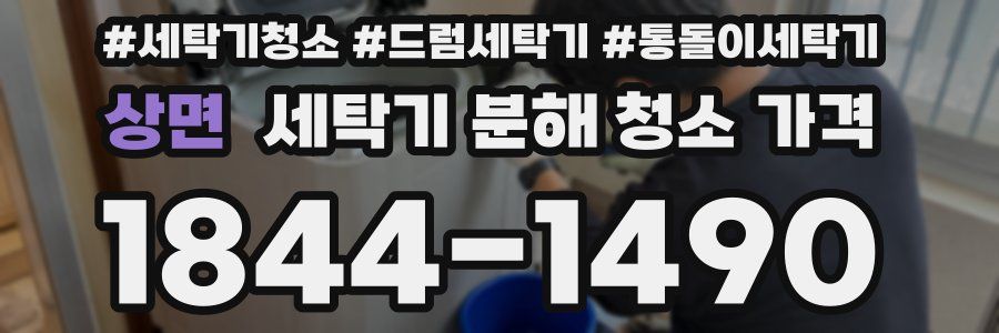 상면 세탁기 분해 청소 가격