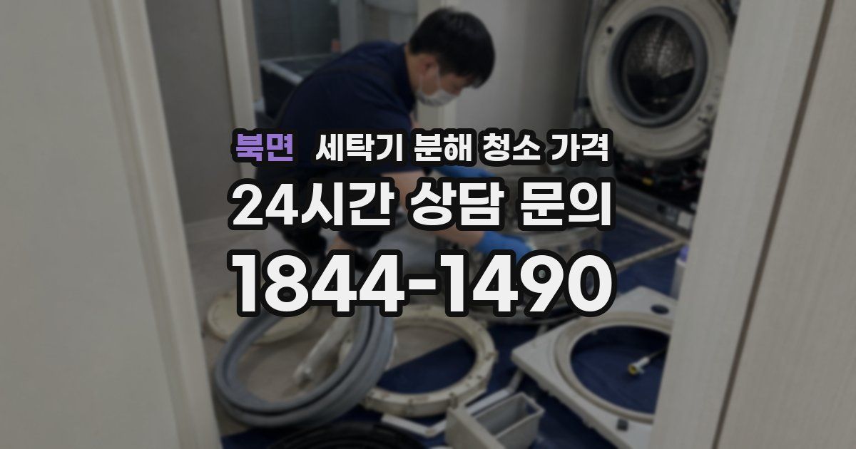 북면 세탁기 분해 청소 가격