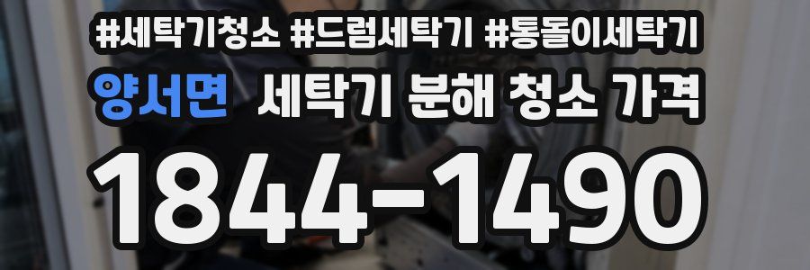 양서면 세탁기 분해 청소 가격
