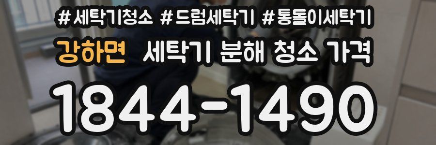 강하면 세탁기 분해 청소 가격