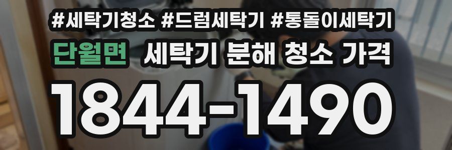 단월면 세탁기 분해 청소 가격