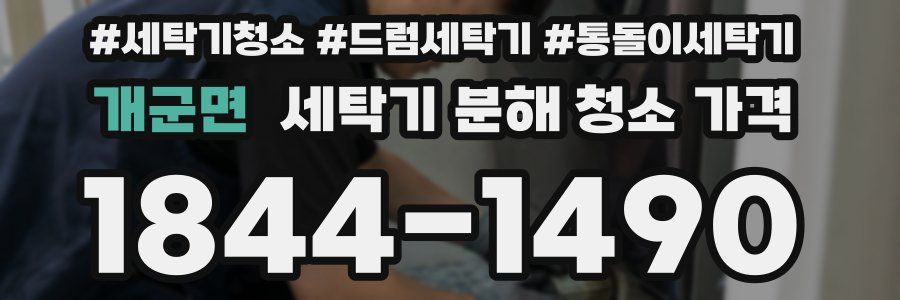 개군면 세탁기 분해 청소 가격