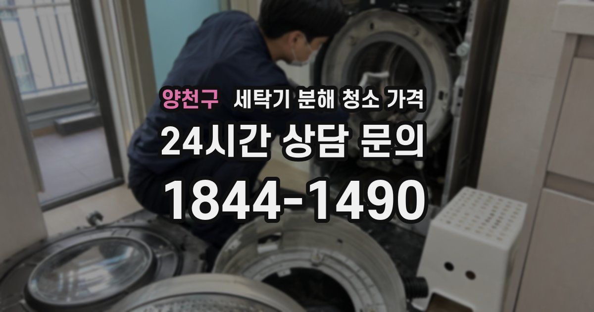 양천구 세탁기 분해 청소 가격