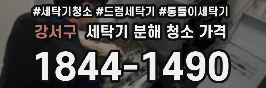 강서구 세탁기 분해 청소 가격