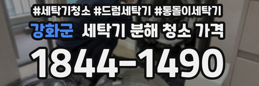 강화군 세탁기 분해 청소 가격