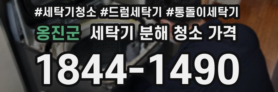옹진군 세탁기 분해 청소 가격