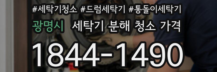 광명시 세탁기 분해 청소 가격