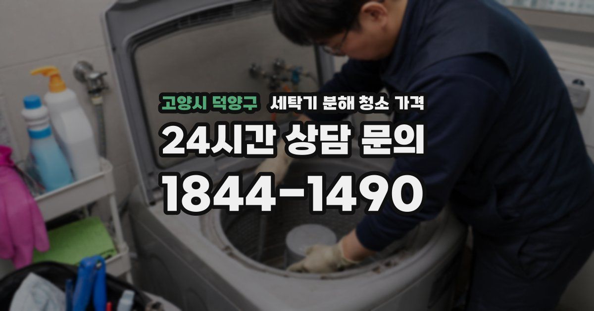 고양시 덕양구 세탁기 분해 청소 가격