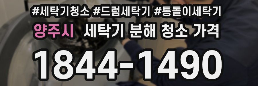 양주시 세탁기 분해 청소 가격