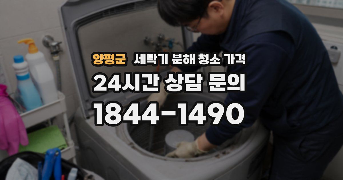 양평군 세탁기 분해 청소 가격