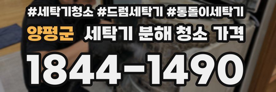 양평군 세탁기 분해 청소 가격