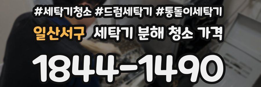 일산서구 세탁기 분해 청소 가격