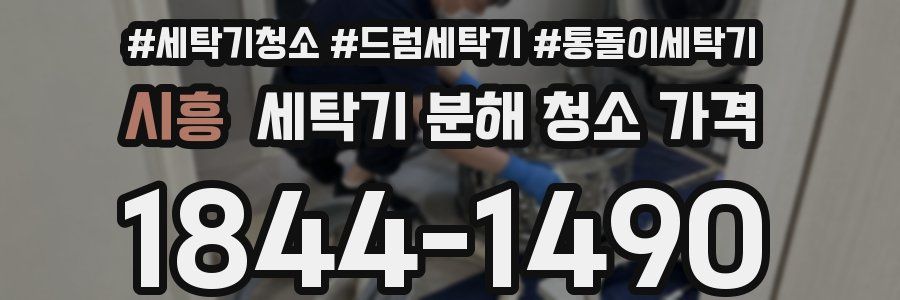 시흥 세탁기 분해 청소 가격