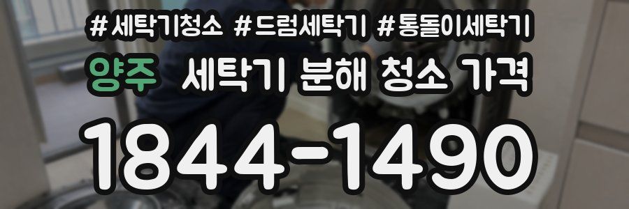 양주 세탁기 분해 청소 가격