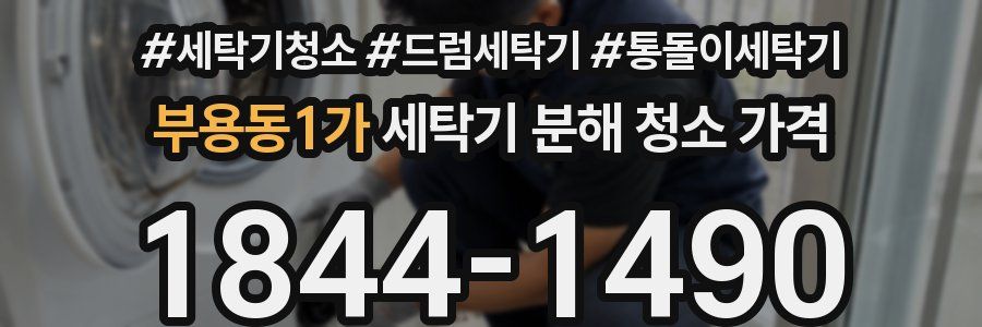 부용동1가 세탁기 분해 청소 가격
