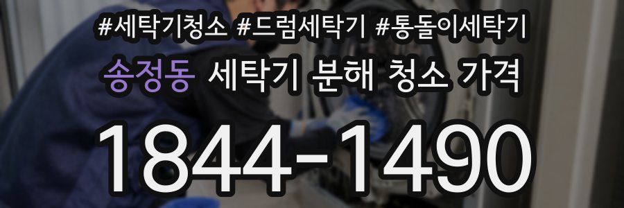 송정동 세탁기 분해 청소 가격