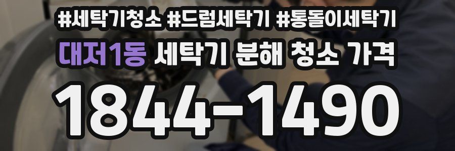 대저1동 세탁기 분해 청소 가격