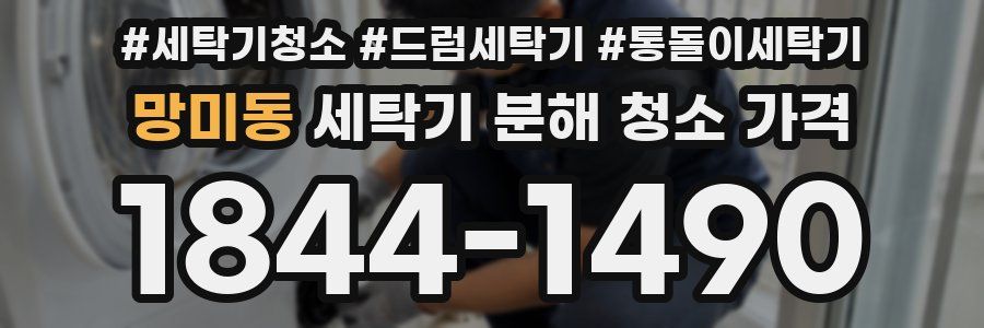 망미동 세탁기 분해 청소 가격