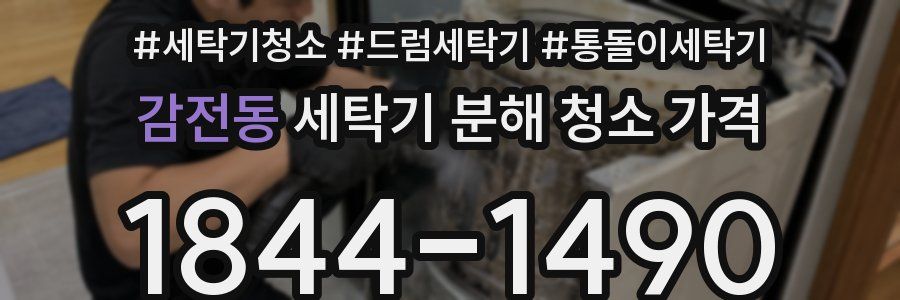 감전동 세탁기 분해 청소 가격