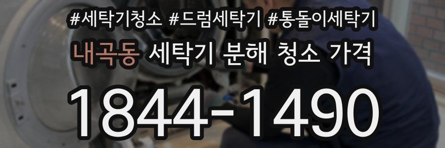 내곡동 세탁기 분해 청소 가격