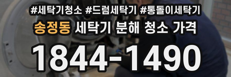 송정동 세탁기 분해 청소 가격