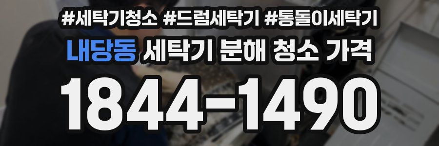 내당동 세탁기 분해 청소 가격