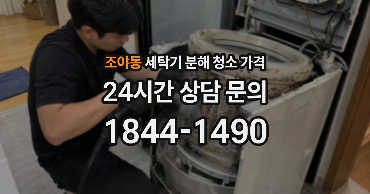조야동 세탁기 분해 청소 가격
