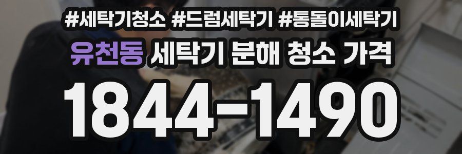 유천동 세탁기 분해 청소 가격