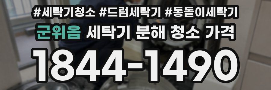 군위읍 세탁기 분해 청소 가격