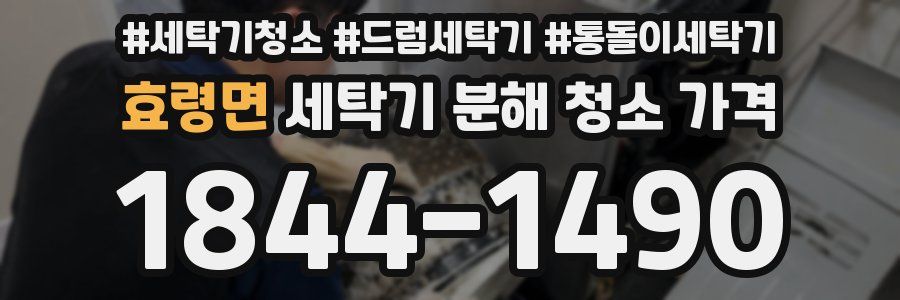 효령면 세탁기 분해 청소 가격
