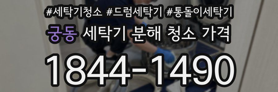 궁동 세탁기 분해 청소 가격