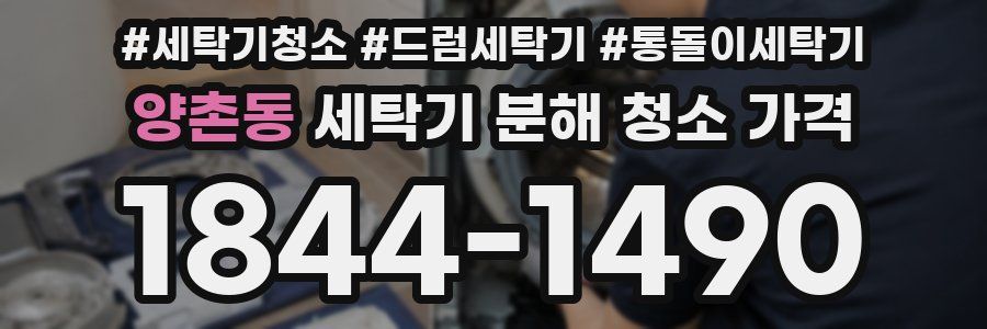 양촌동 세탁기 분해 청소 가격