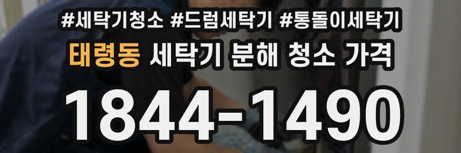 태령동 세탁기 분해 청소 가격